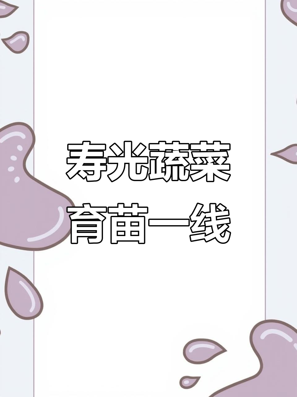 山东寿光蔬菜育苗基地:番茄品种优选与推广