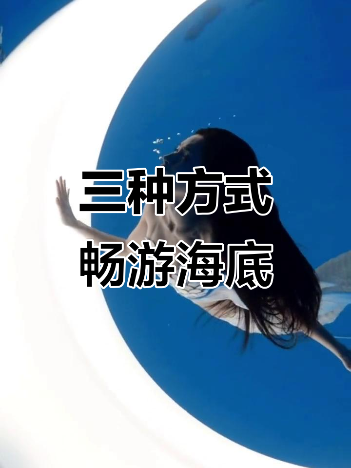 自由潜水、水肺体验与美人鱼表演,海底世界大揭秘