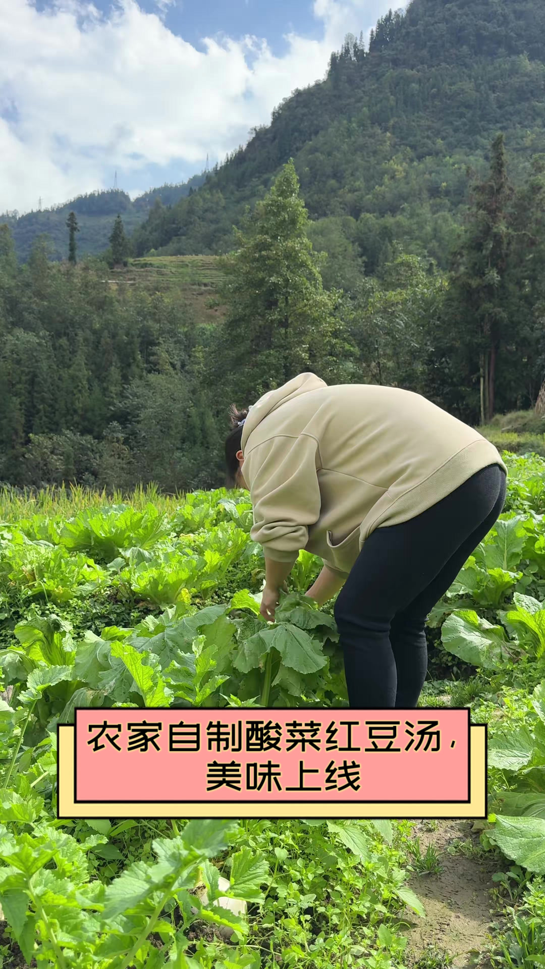 农家自制酸菜红豆汤,美味上线
