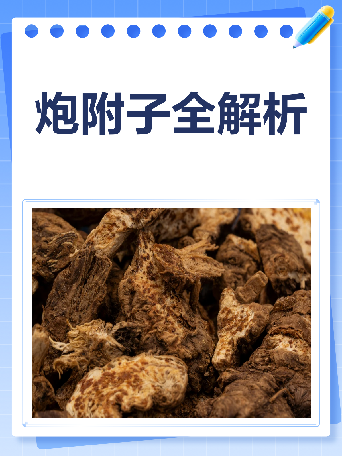 炮附子知多少?一文带你全面了解
