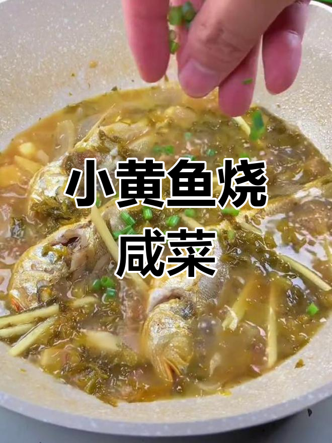 温州雪菜小黄鱼,鲜美下饭必试