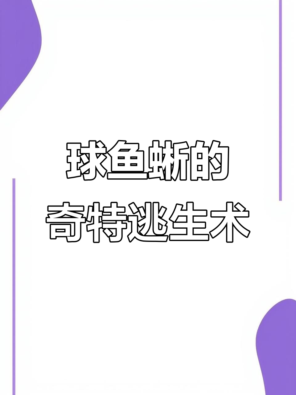 球鱼蜥的独特防御方式，硬如石头却能躲过天敌