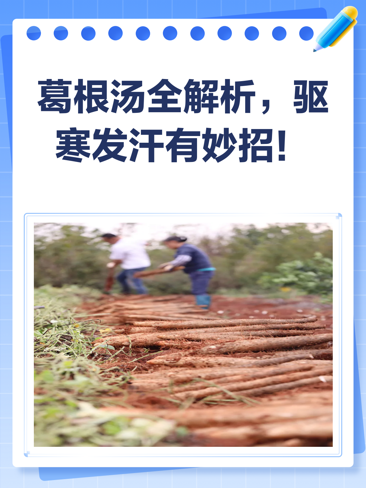 葛根汤全解析,风寒克星来袭!