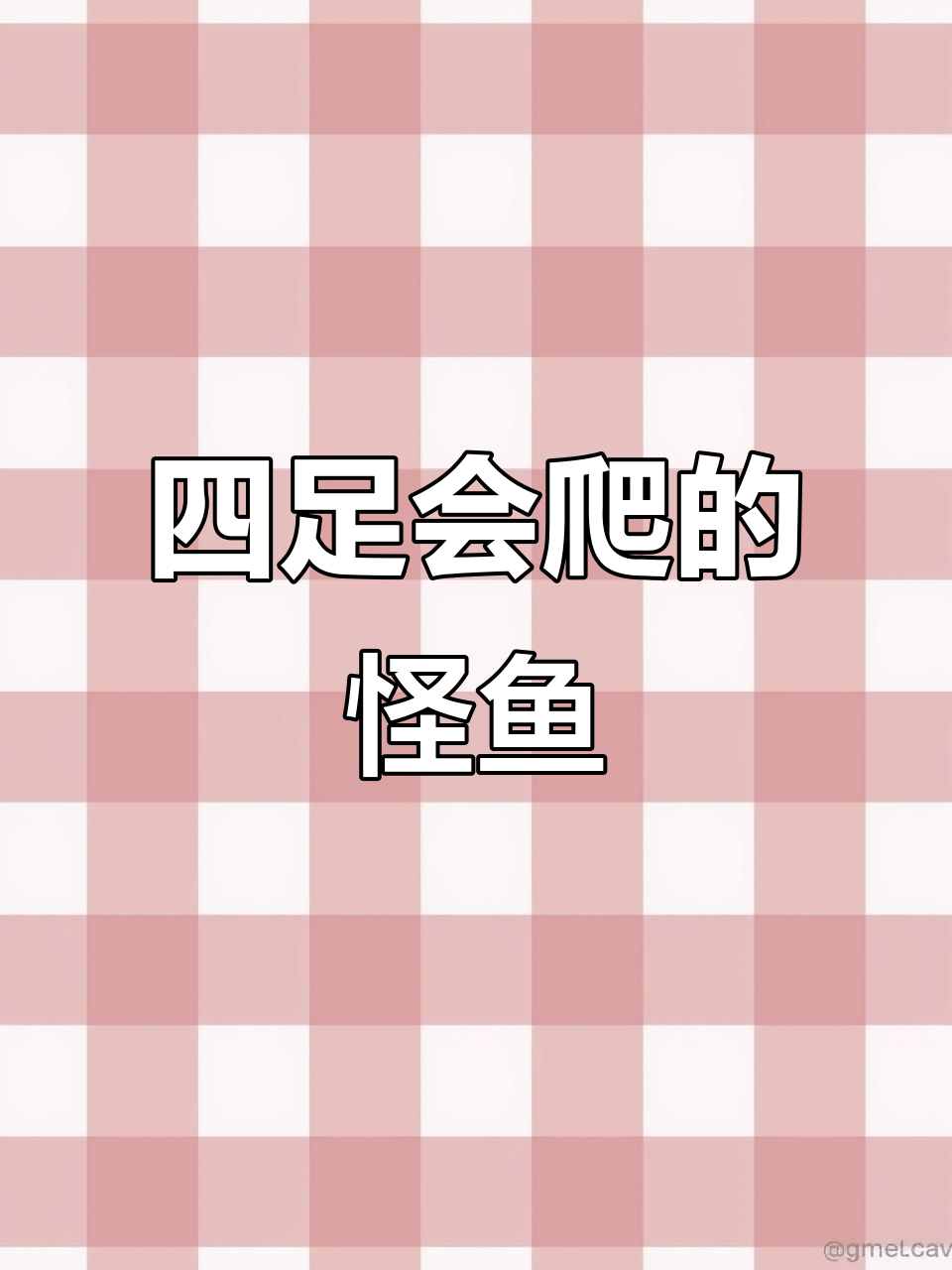 这是什么鱼?竟然有四条腿,还能爬!