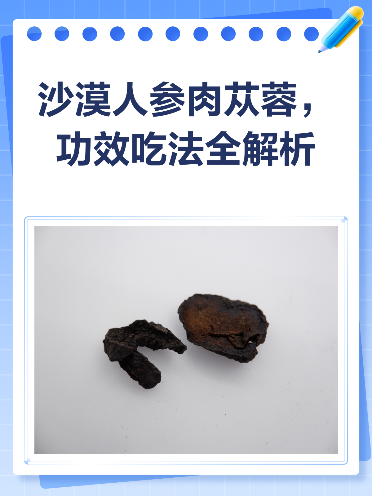 肉苁蓉,沙漠里的“黄金补品”