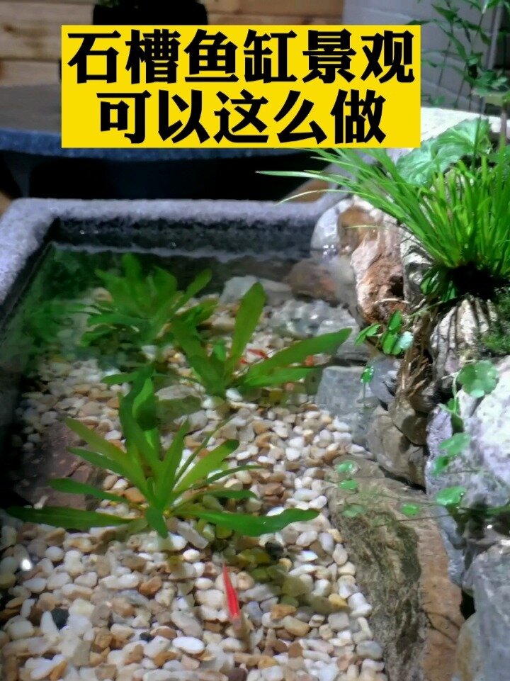 石槽鱼缸景观,可以这么做!