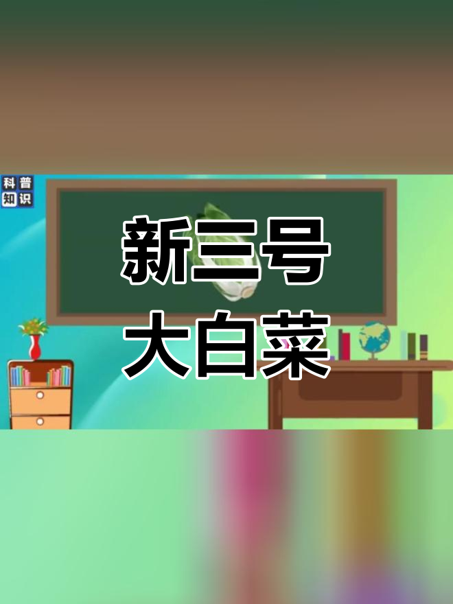 北京新3号大白菜品种介绍