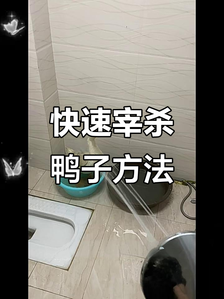 传统杀鸭技巧大揭秘,8分钟拔毛轻松搞定
