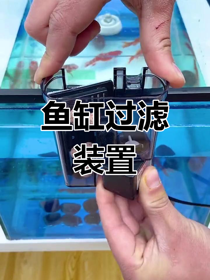 鱼缸壁挂式过滤器安装教程