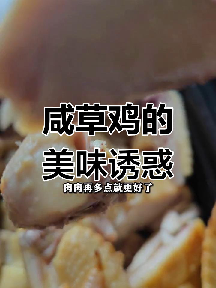 今天偷懒,享受美味咸草鸡的悠闲时光!