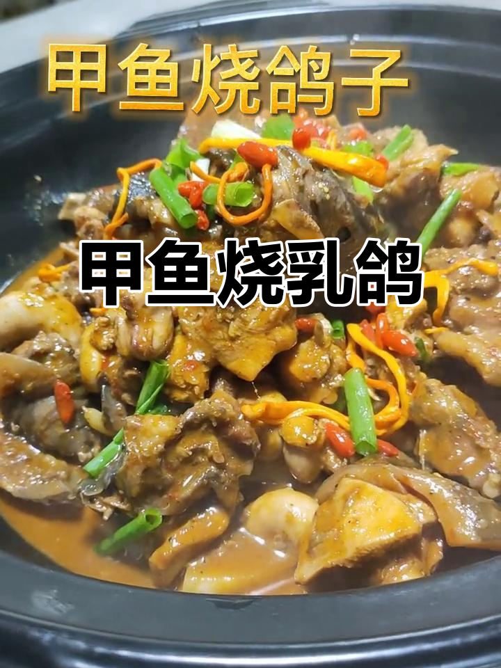 生意不好就随便吃,甲鱼烧乳鸽味道超赞