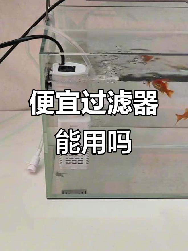 8.9元鱼缸过滤器效果评测，值不值？