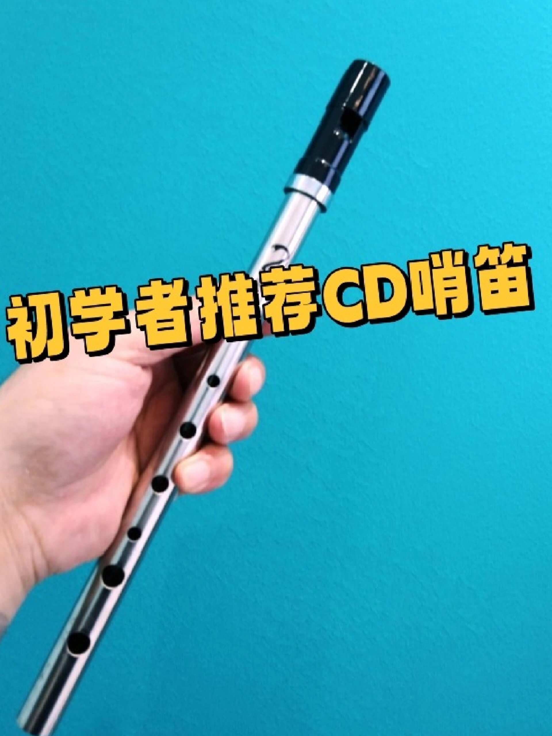 痴情冢洞洞谱新版笛子伴奏