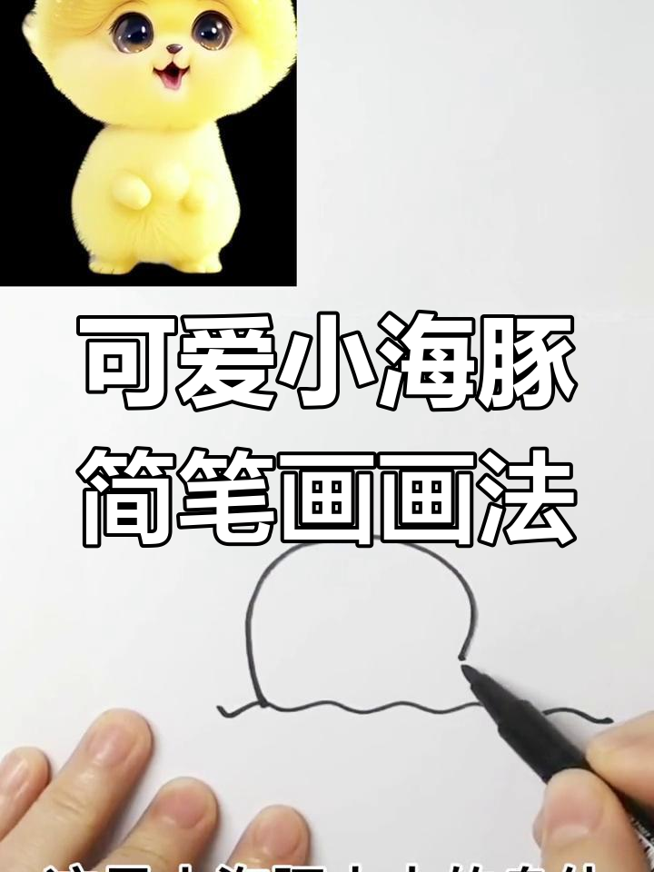 小海豚简笔画,带你一起了解它的神奇世界