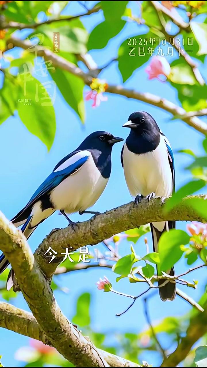 今天是10月31日，星期五，早安。感恩你来我往的问候，享受真诚美好的祝福。一句句问候从心而