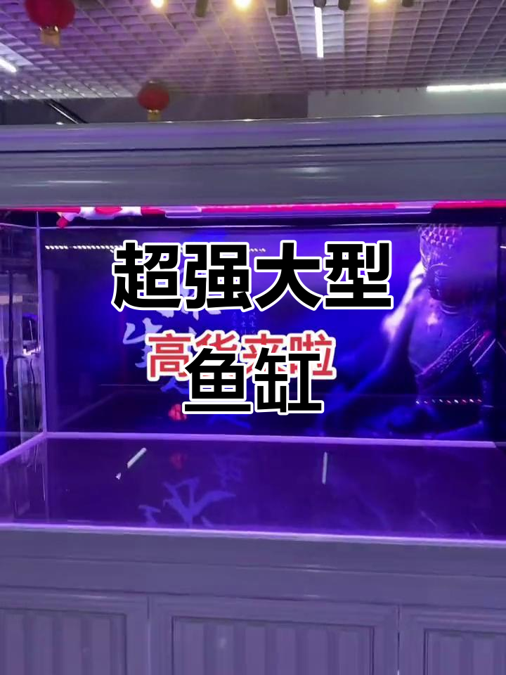 1.5米超强过滤鱼缸，央视认证国货优品