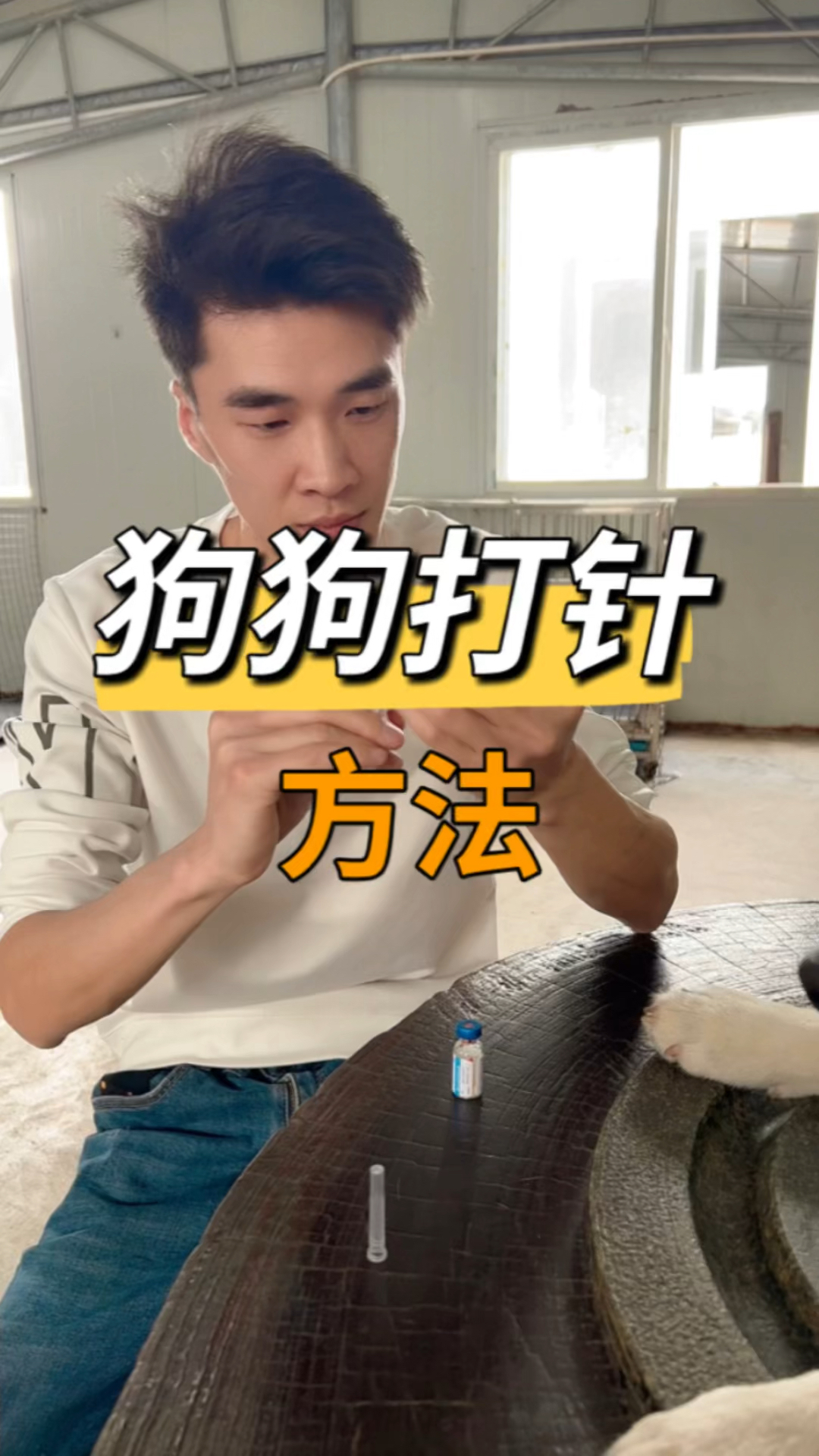 给狗狗打针的方法,养狗人必看