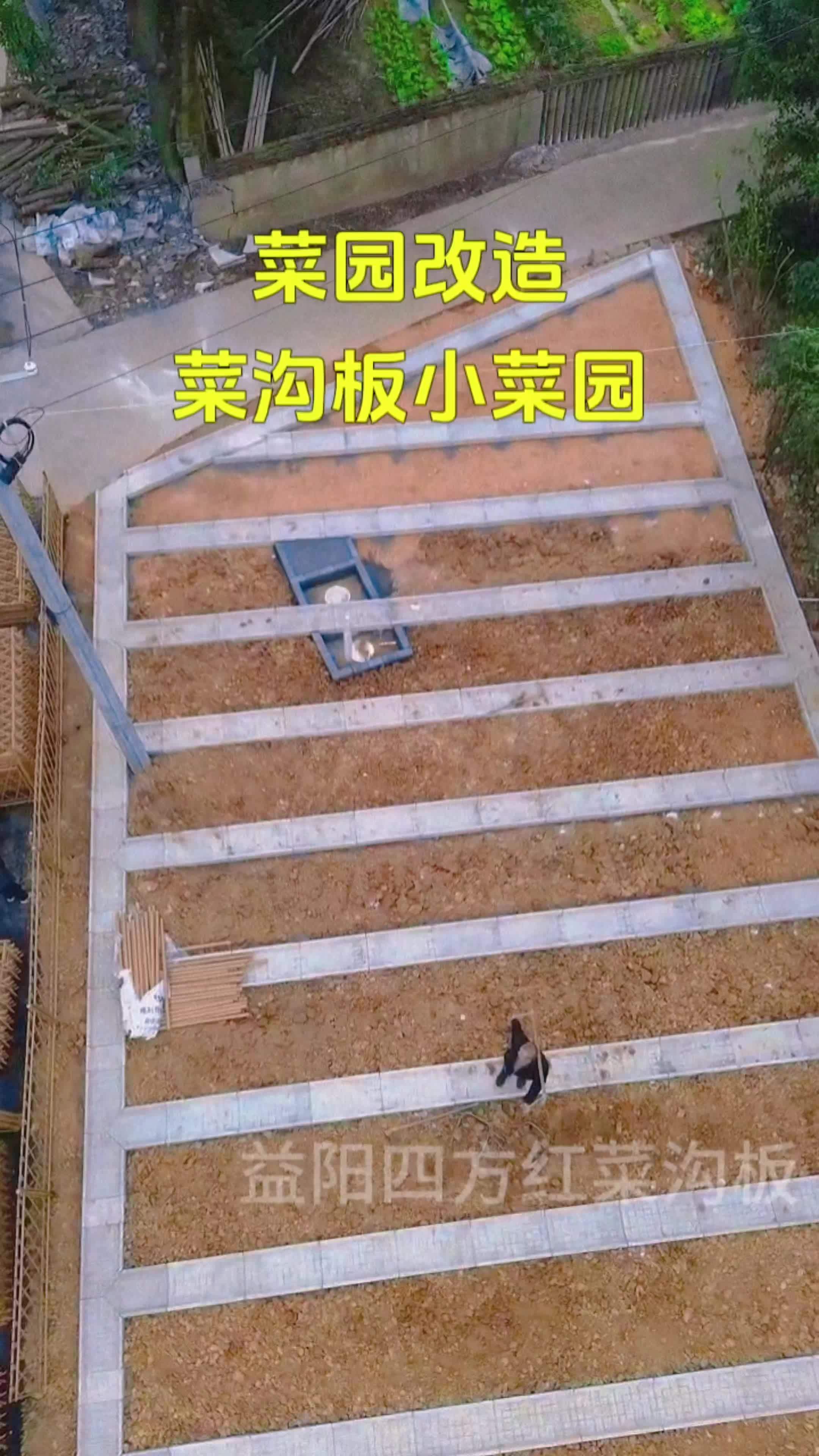小院改造 菜园 我的田园生活 菜沟板 农村菜园设计
