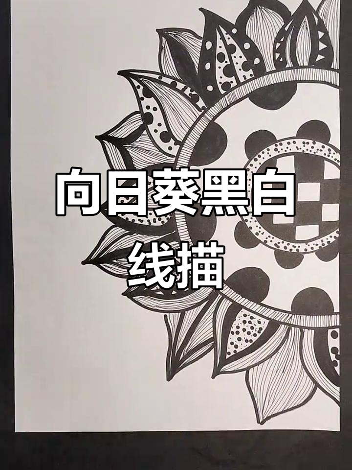 黑白线描画向日葵,简单又有趣