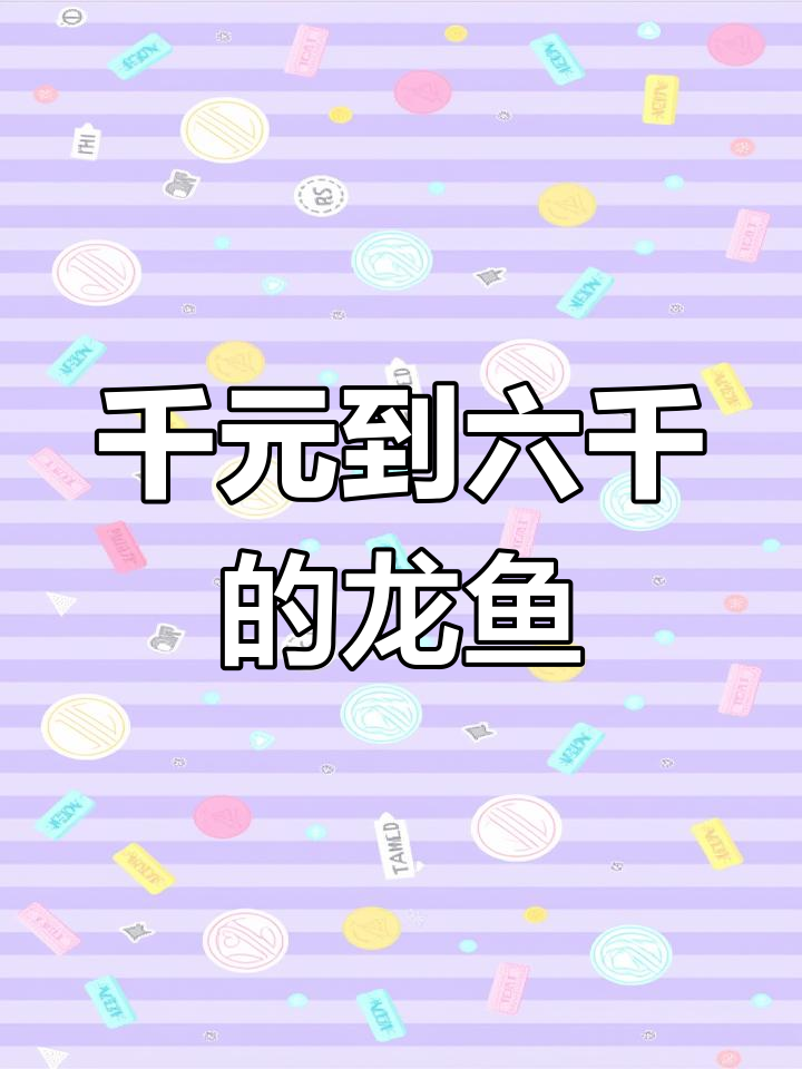 龙鱼价格大揭秘!1000-6000元性价比超高,超值选择