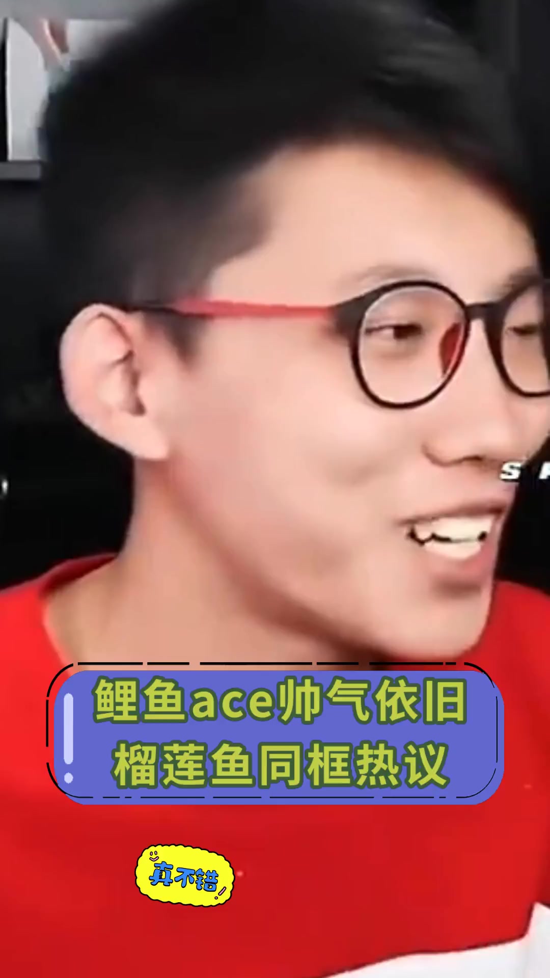 鲤鱼ace帅气依旧,榴莲鱼同框热议