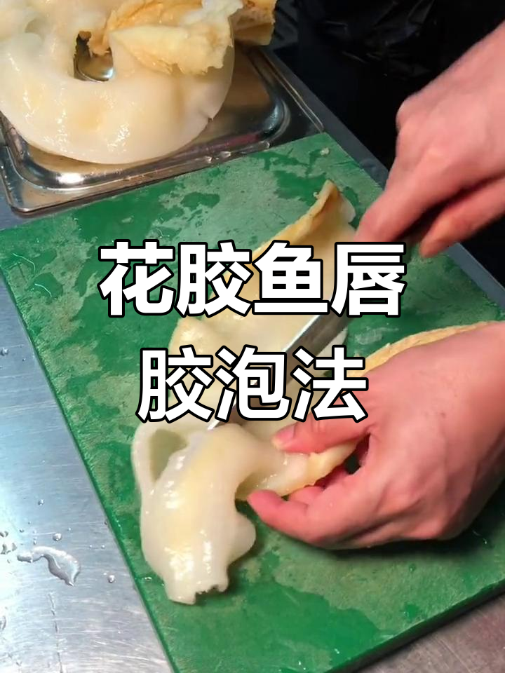 日常适合食用的花胶与鱼唇胶,泡发技巧全揭秘
