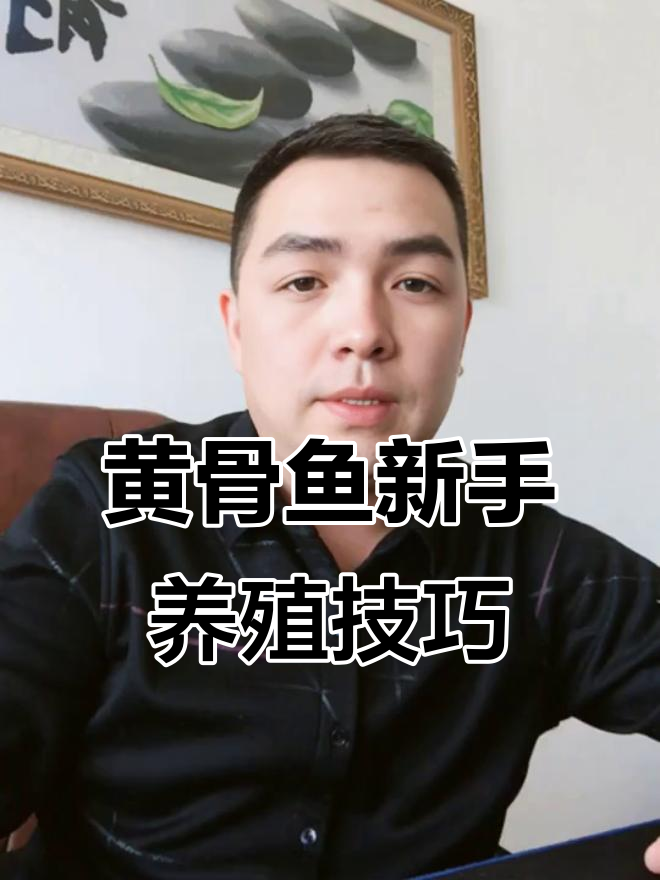新手养殖黄骨鱼必知四大要点,提高成功率