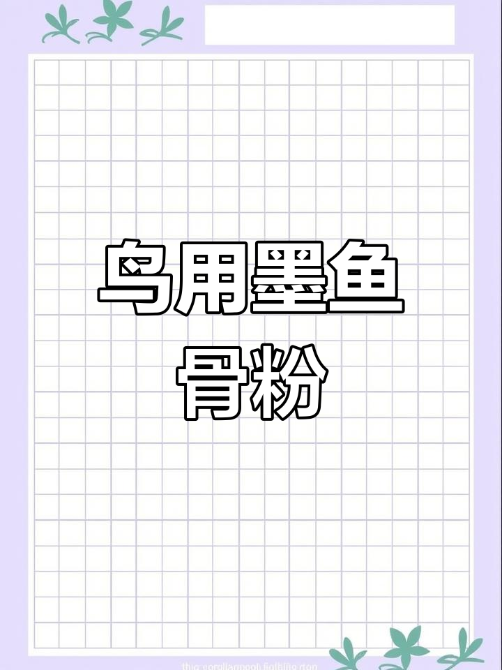 墨鱼骨粉助力鸟类健康,提升繁殖活力与蛋质