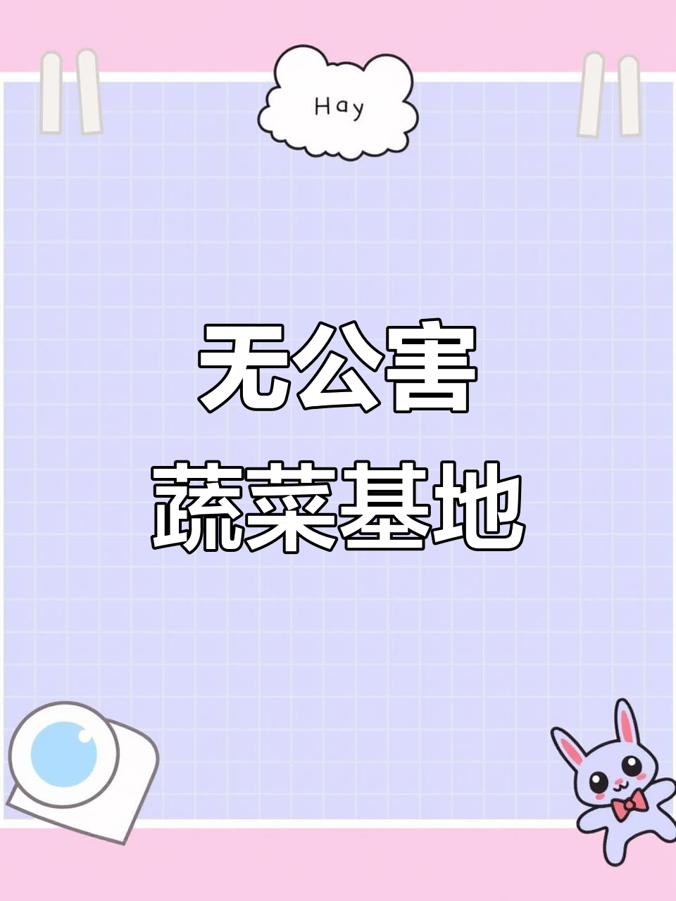 尚双杰蔬菜基地,绿色无公害,欢迎合作洽谈