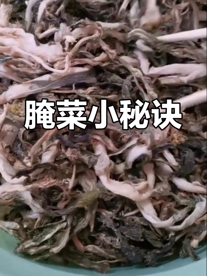 菜苔腌制法:盐拌静置,密封十天后享用