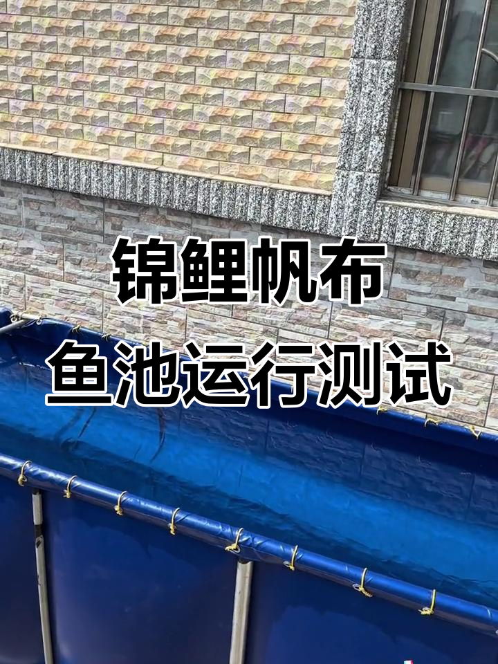 锦鲤帆布鱼池效果展示，稳固耐用放水无忧