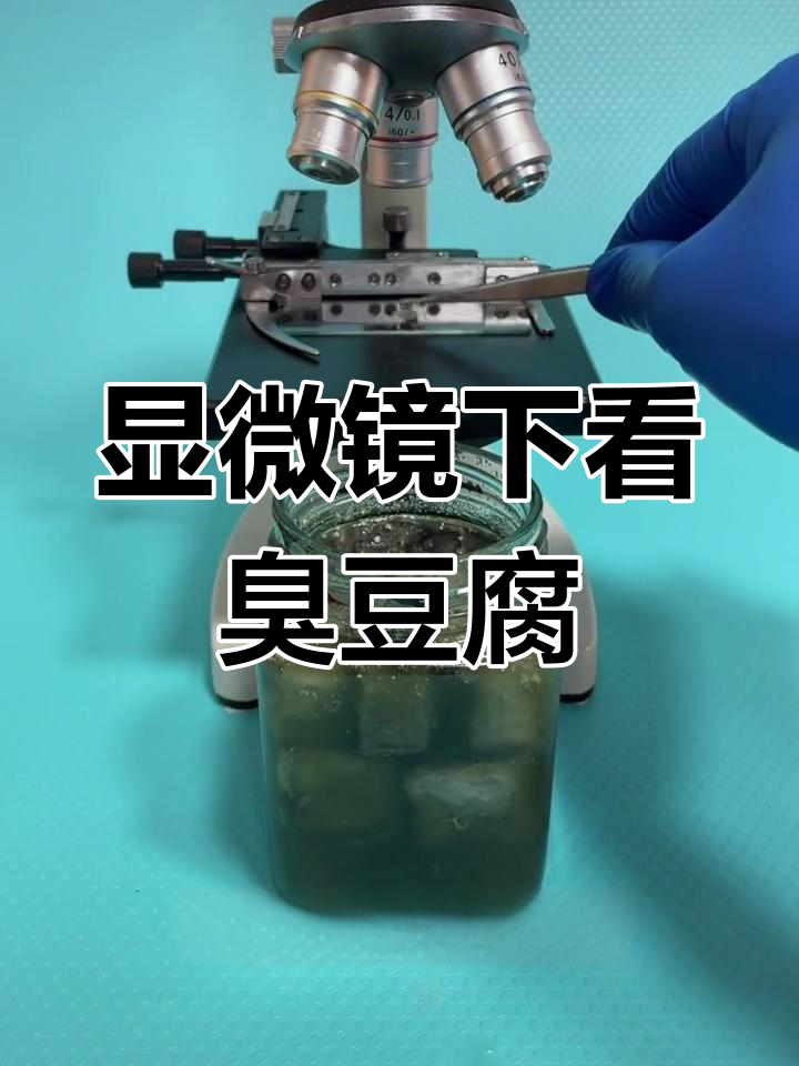 臭豆腐的微观世界,看完你还敢吃吗?