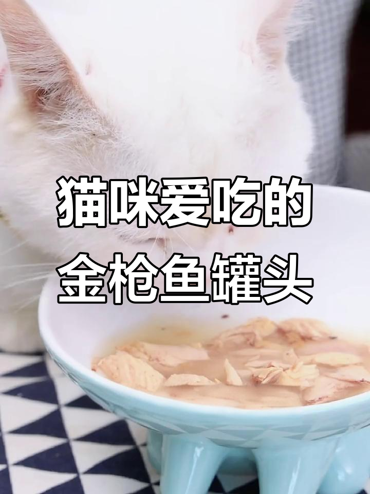 金枪鱼白肉罐头，猫咪超爱吃！鲜嫩有汤，柠檬口感让人惊艳