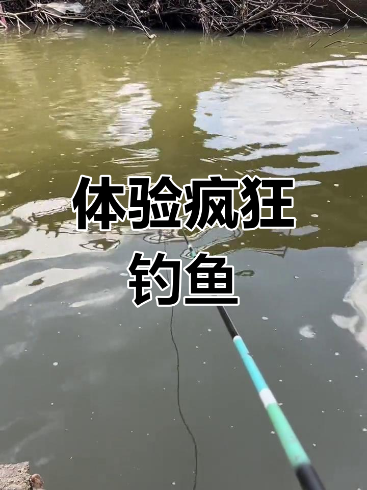 疯狂钓鱼挑战,真实还原钓场景!