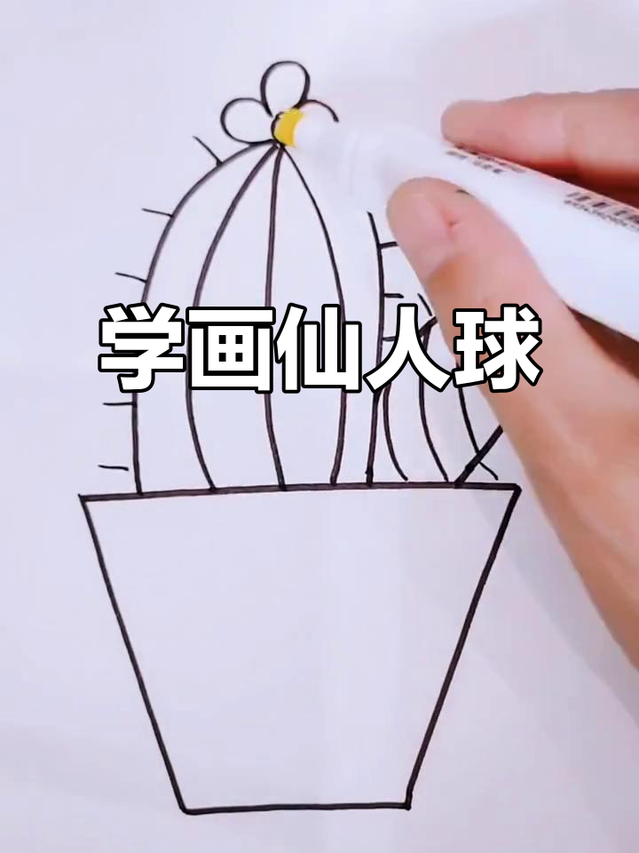 仙人球简笔画教程,轻松学会画可爱小植物