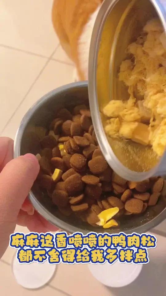 小狗天天吃狗粮腻歪了,给他加点鲜粮说的清松鸭肉松,拌上一勺香 飞了!