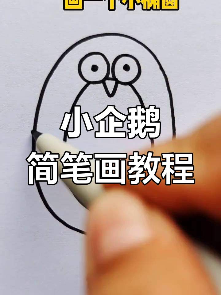 简单步骤教你画可爱小企鹅,翅膀和脚丫都能轻松搞定