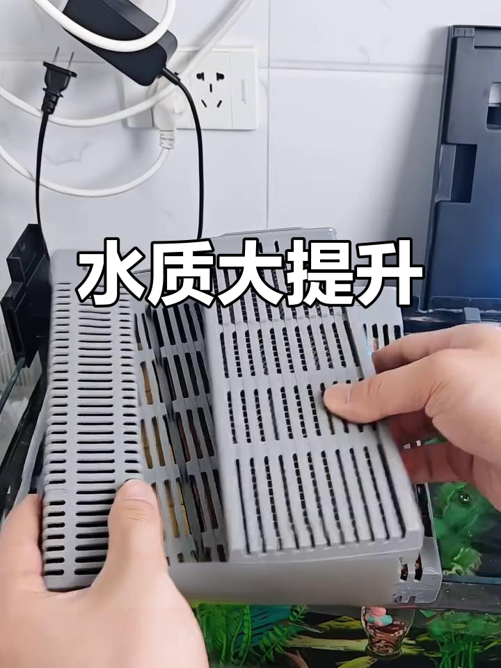 小米鱼缸升级,双水泵让水质更清透,鱼儿游得更欢快