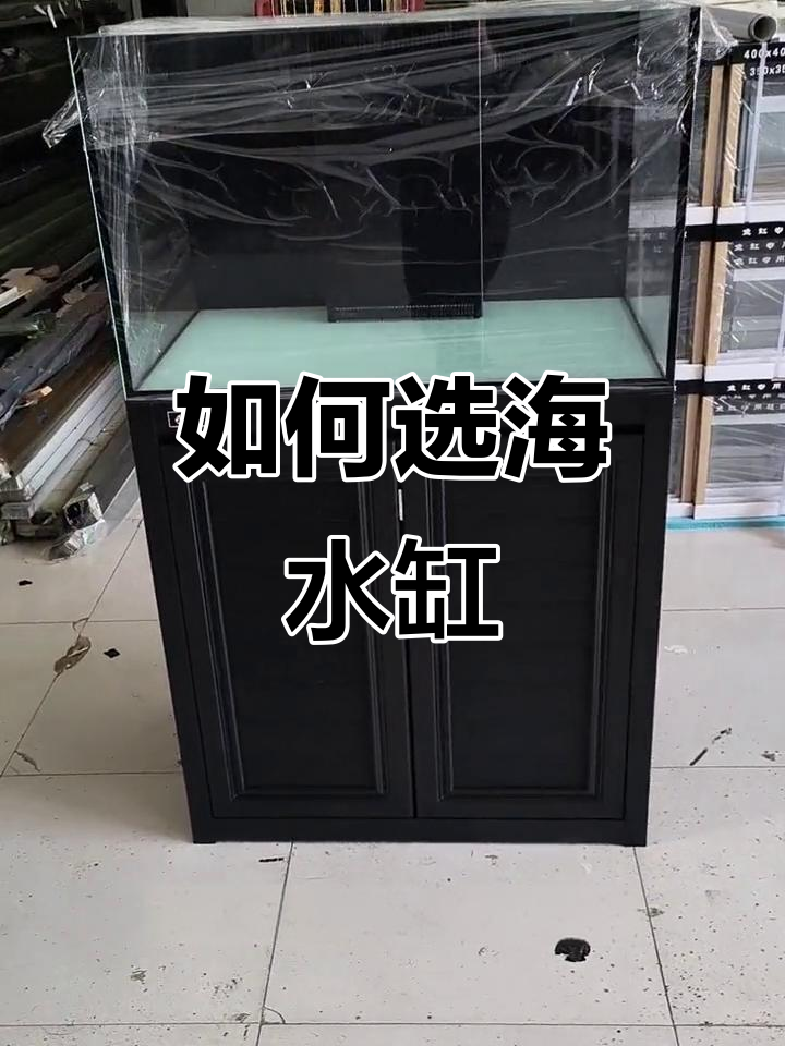 海水缸选购指南:过滤系统最重要,如何挑选适合的鱼缸
