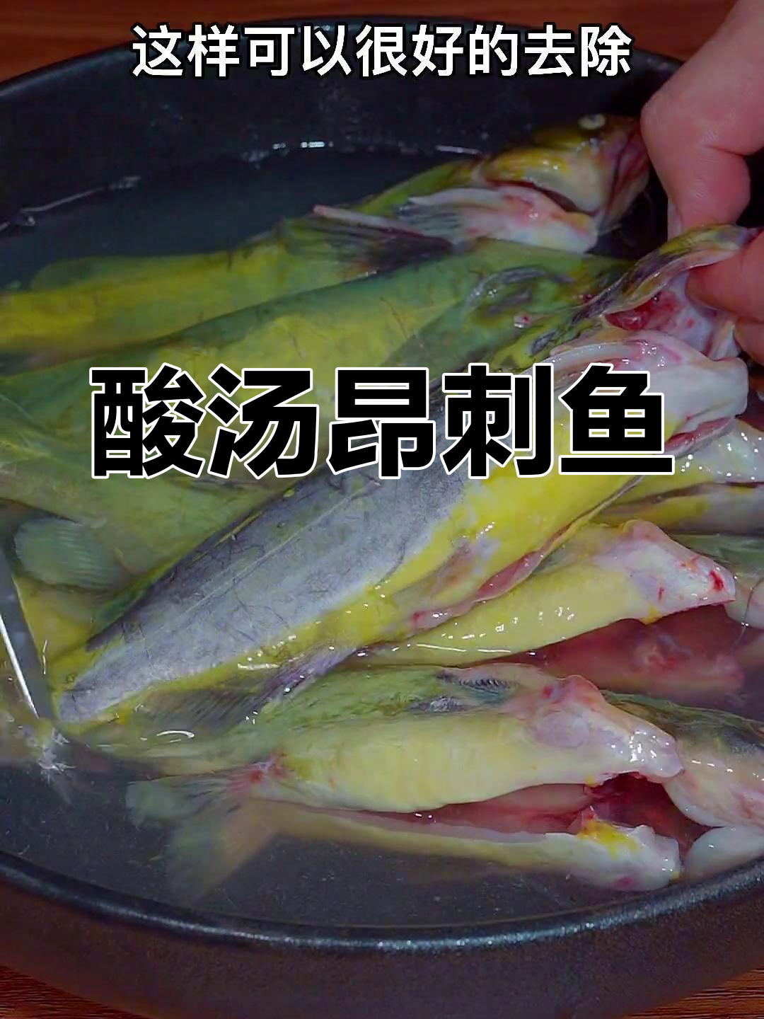 酸汤昂刺鱼,鲜嫩美味不腥
