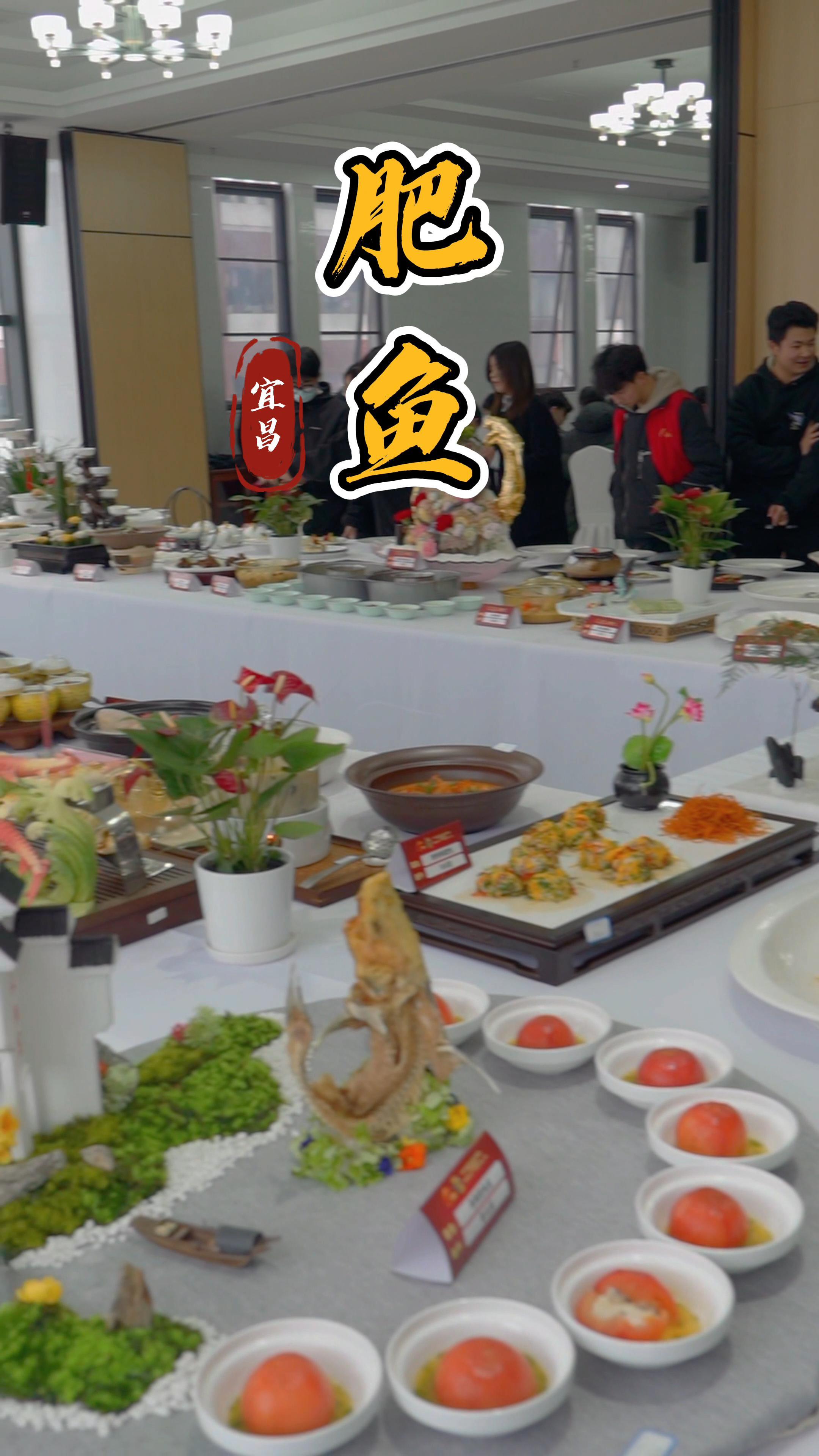 挑战拍一组美食大片 哪款菜是你的爱?快@给你身边的美食家 宜昌 首届三峡肥鱼大赛 宜昌城市