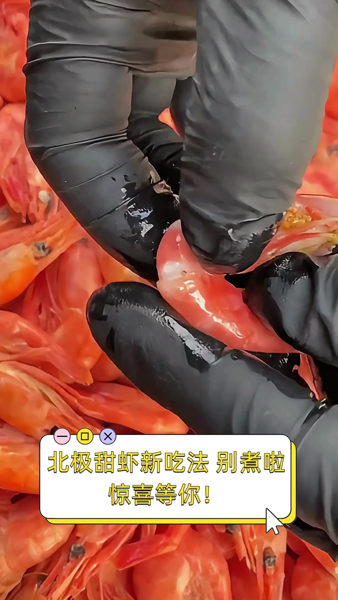 北极甜虾新吃法,别煮啦,惊喜等你!