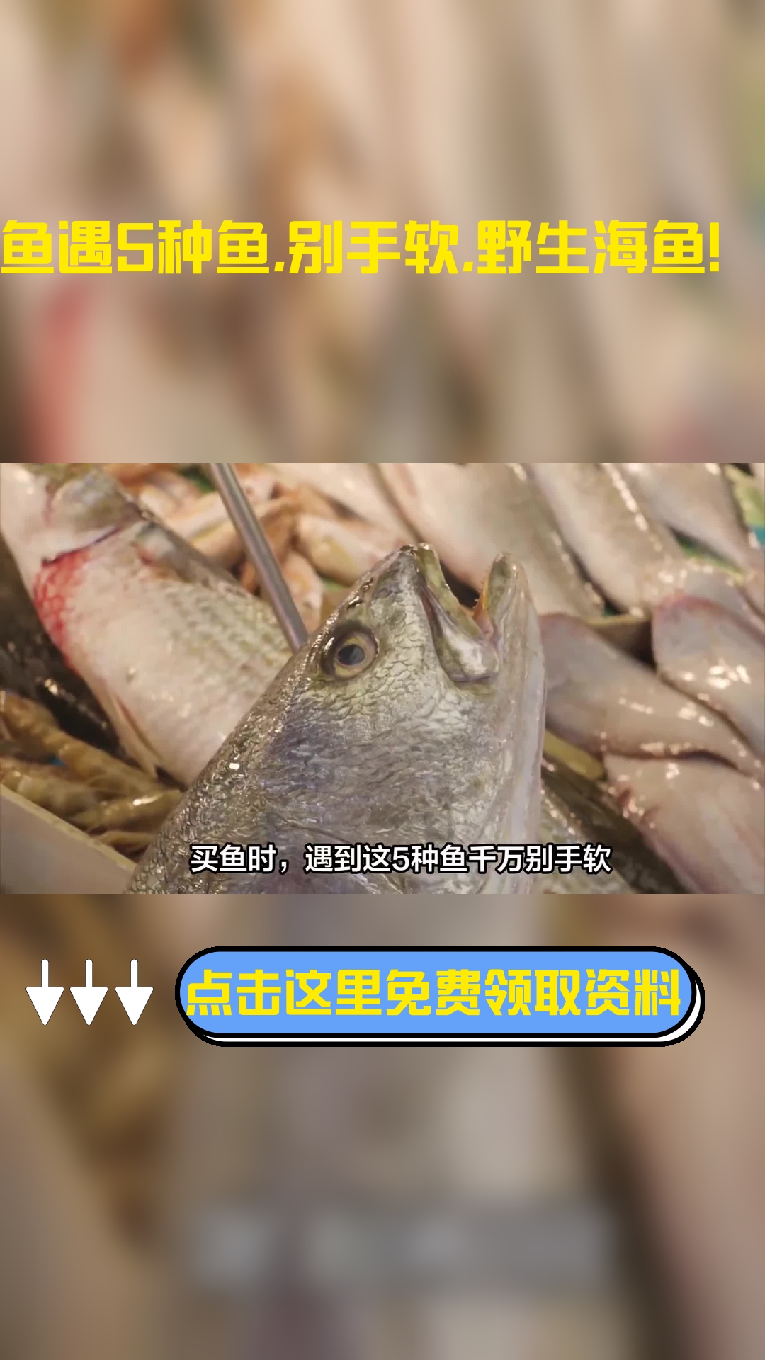 买鱼时,遇到这5种鱼千万别手软,都是野生海鱼,无法人工养殖