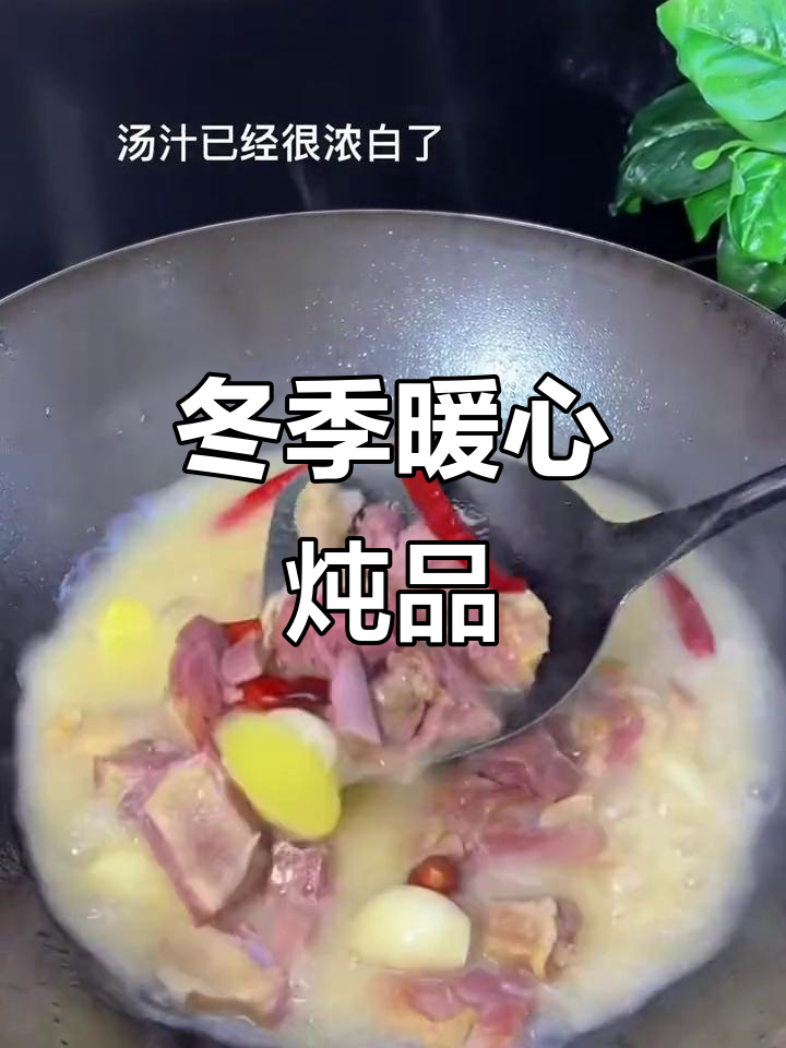 寒冬里,一锅热腾的咸鸭腿炖萝卜,温暖又美味