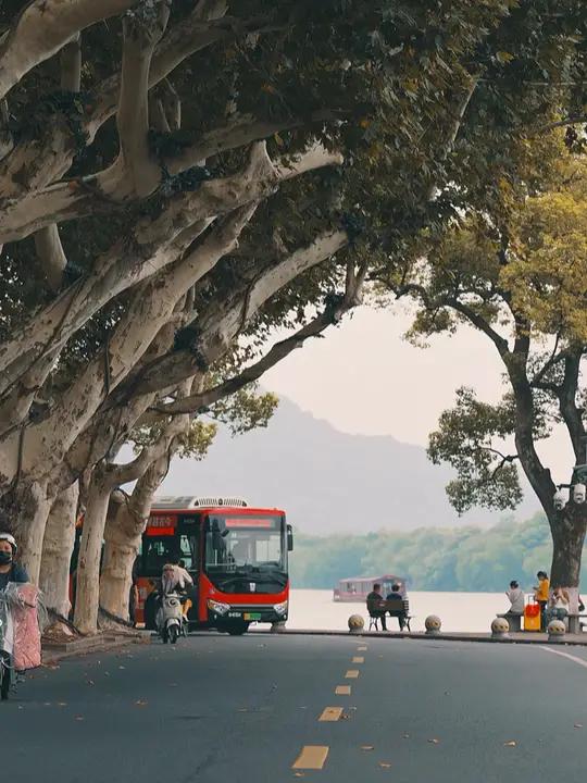 今天是10月20日,星期天,农历九月十八,早安。每一个清晨,都是一个美好的开始,每一个清晨