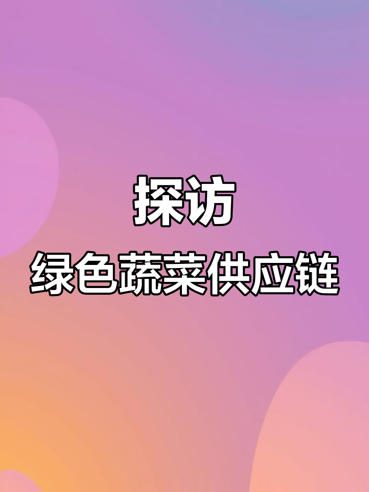 走进绿色蔬菜基地,揭秘数字化种植与配送全过程