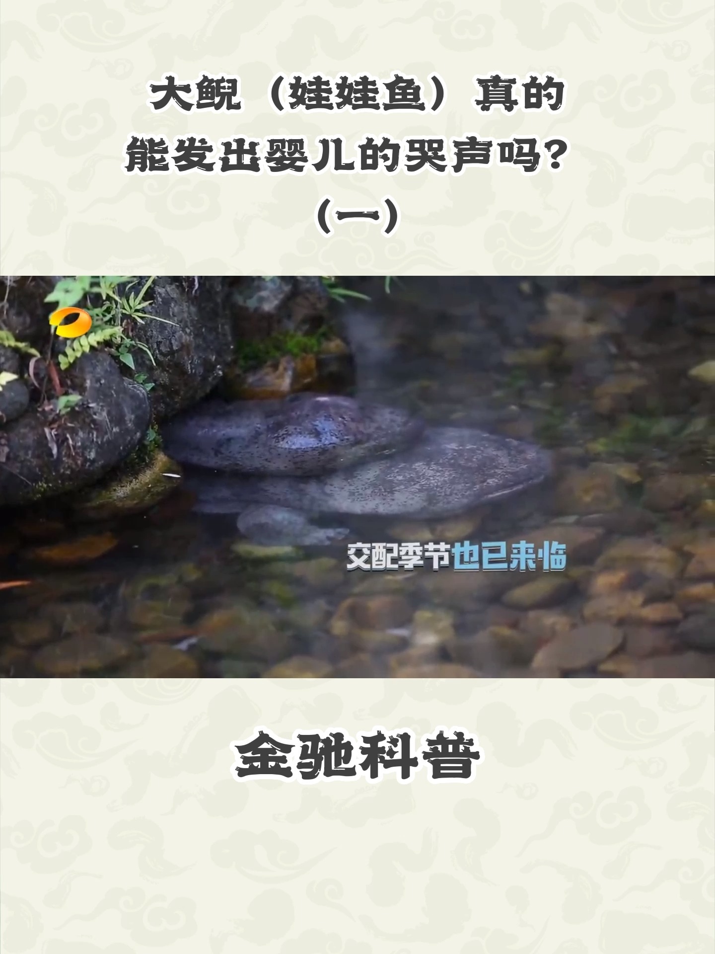大鲵(娃娃鱼)真的能发出婴儿的哭声吗?