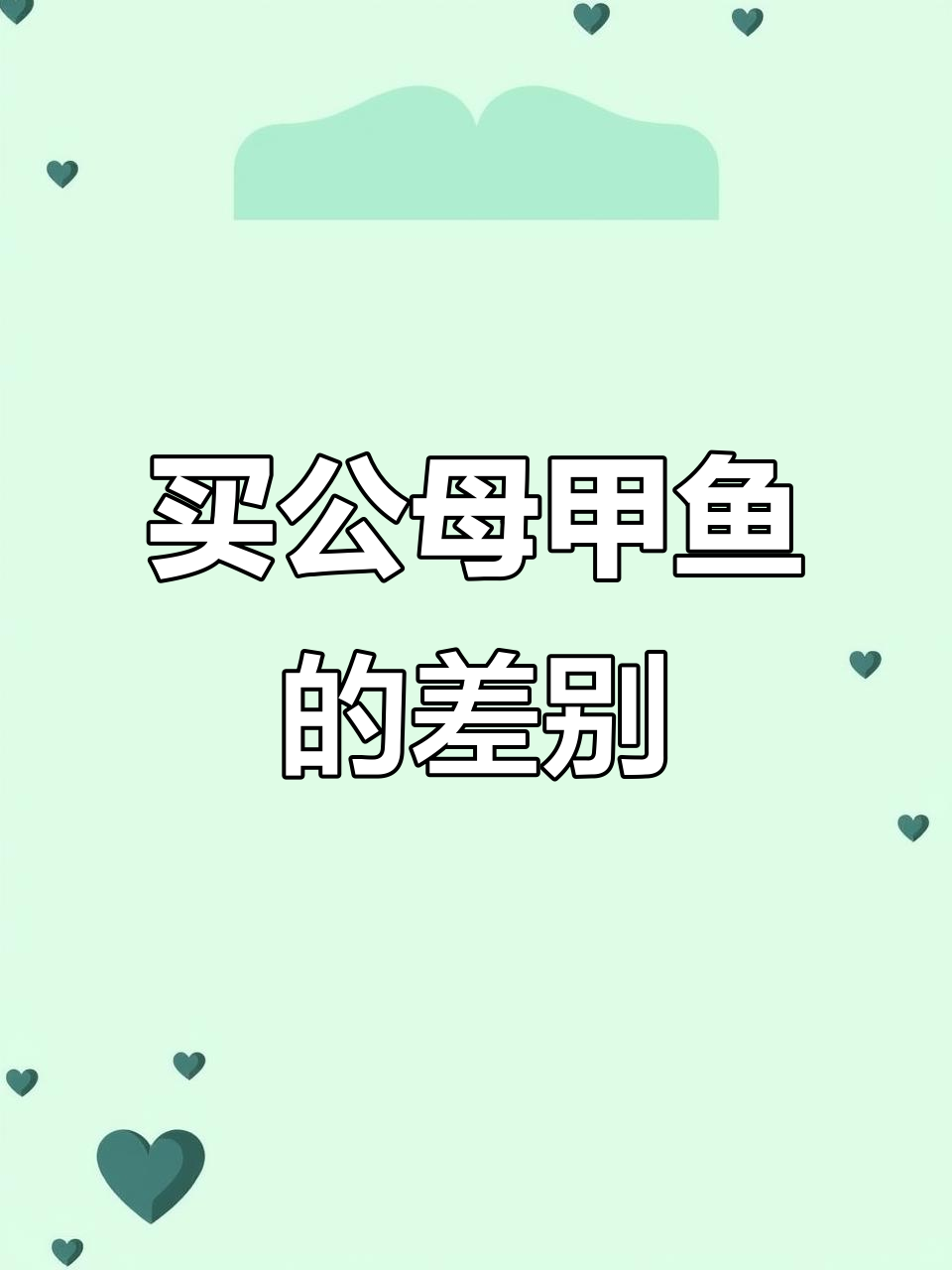 公母甲鱼怎么选?口感、营养大不同