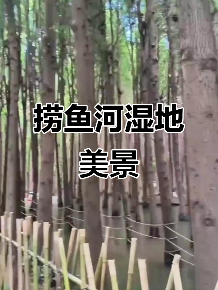 昆明捞鱼河湿地公园:滇池畔的翡翠生态宝地