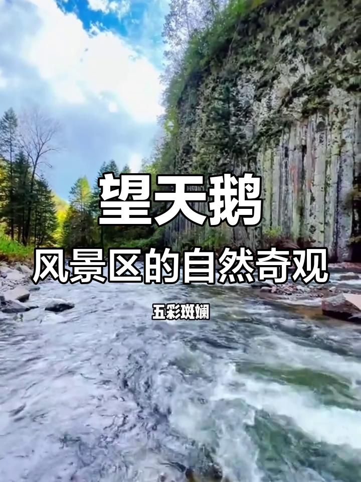 探秘望天鹅风景区:火山地质与四季美景的完美融合
